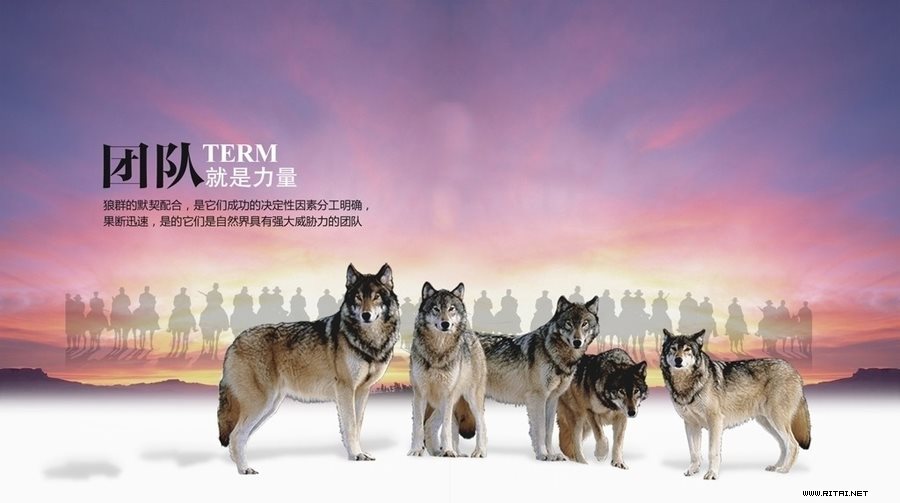 销售“打造狼性团队”