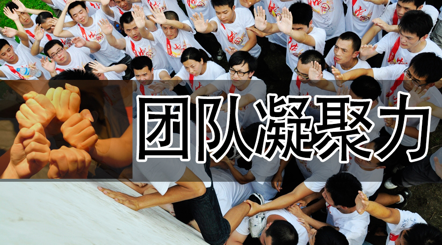 员工“团队凝聚力”