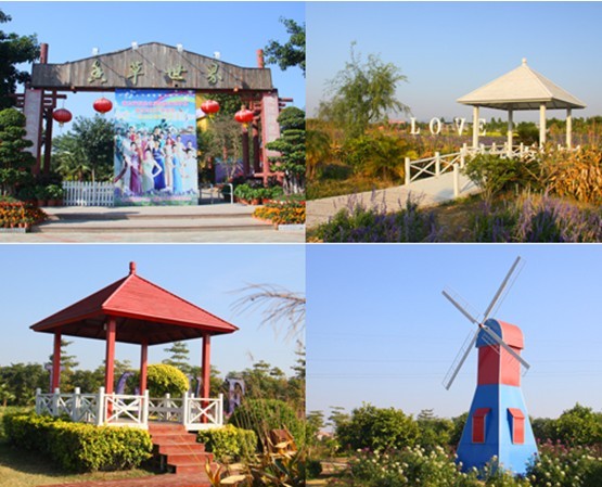 广州香草世界拓展基地