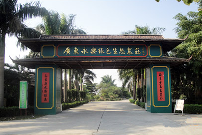 广州南沙永乐生态园拓展基地
